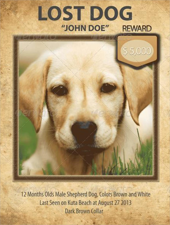 Lost Pet Flyer Template Free And Found Poster Dog For Mac